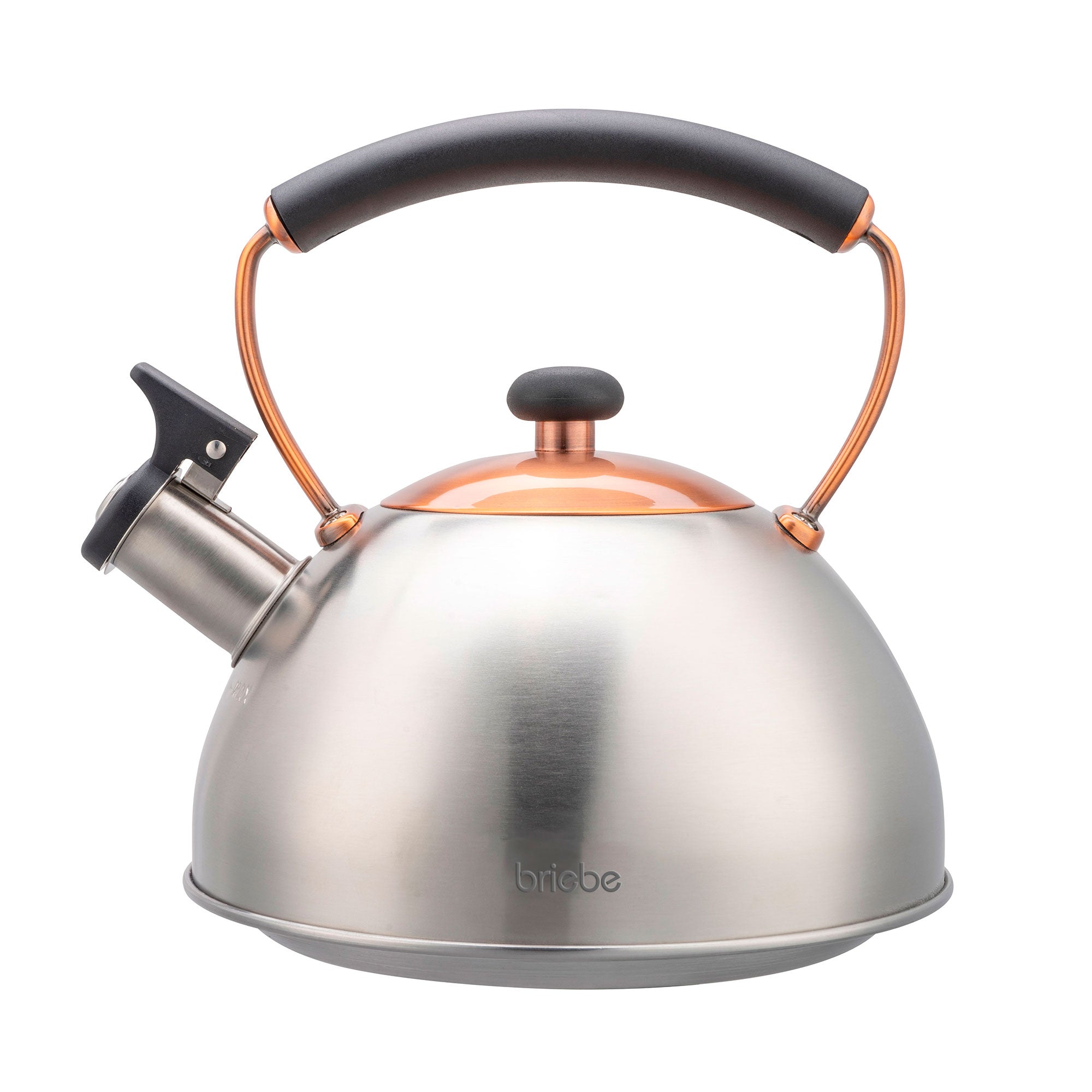 Bouilloire En Acier Inoxydable 1,2 L - Base Épaissie Pour Induction, Poignée Silicone, Capacité Familiale