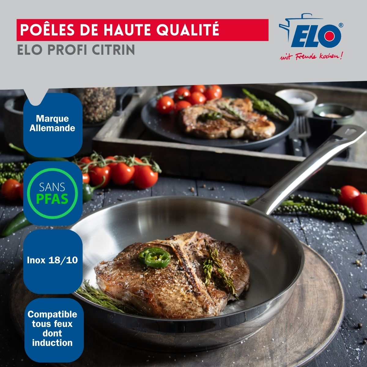 Ensemble de 2 Poêles de cuisson 24 et 28 cm et 3 faitouts 12, 16 et 26 cm  Profi Citrin Elo - Mathon - 6