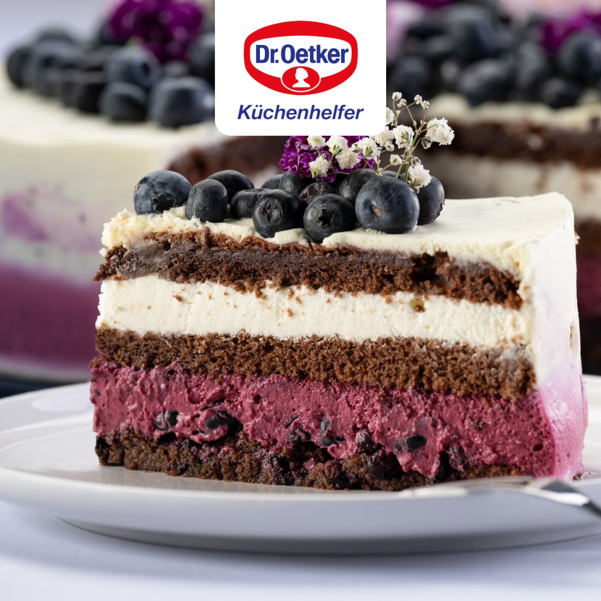 Moule à manqué à charnière 28 cm Dr Oetker Back Liebe Dr. Oetker - Mathon - 8