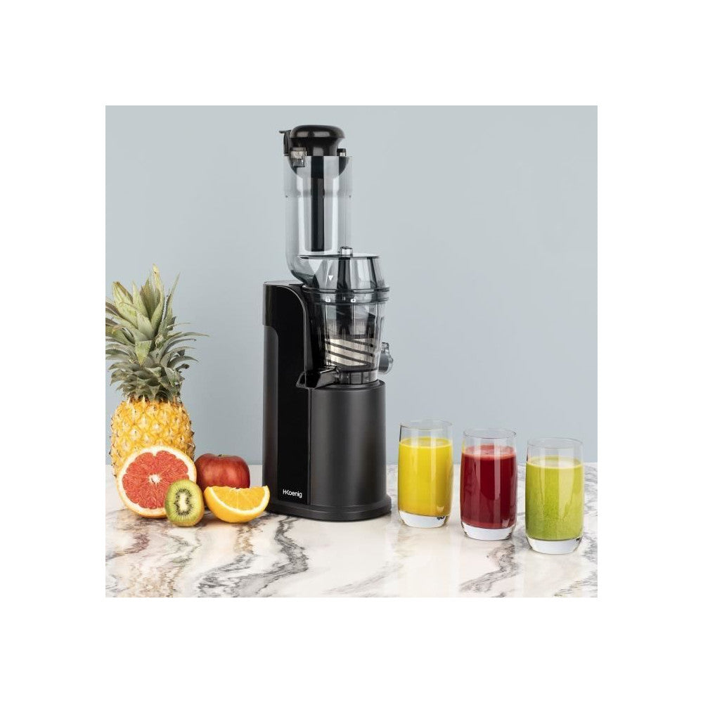 Extracteur de jus - GSX16 H.Koenig - Mathon - 6