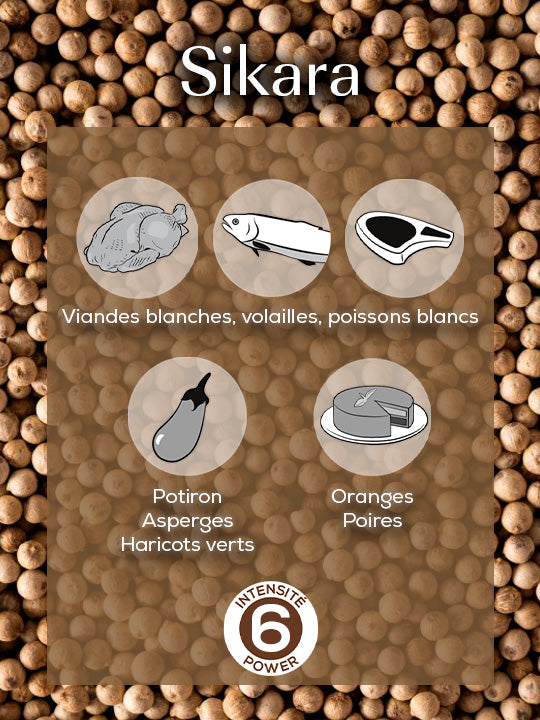 Poivre blanc Sikara 3 x 20g Peugeot - Mathon - 5