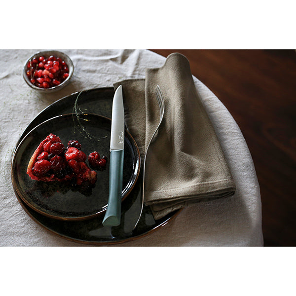 Coffret 4 couteaux de table Glam Opinel - Mathon - 6