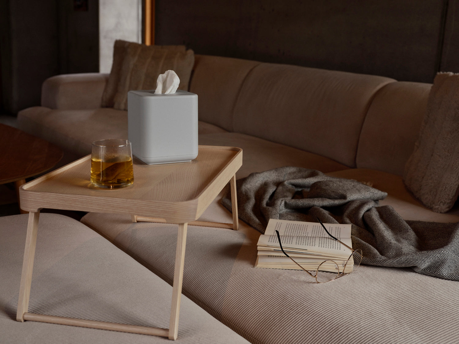 Plateau Inu en Frêne Frêne Zone Denmark - Mathon - 9