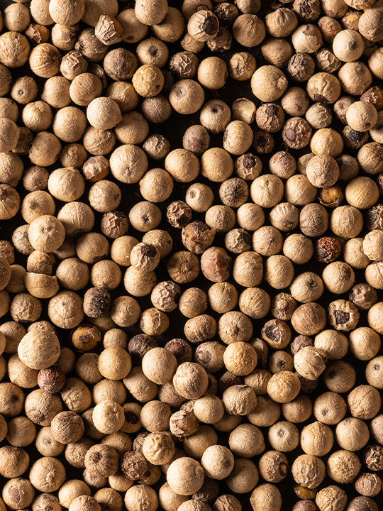 Poivre Blanc Sarawak 4 x 20g Peugeot - Mathon - 5