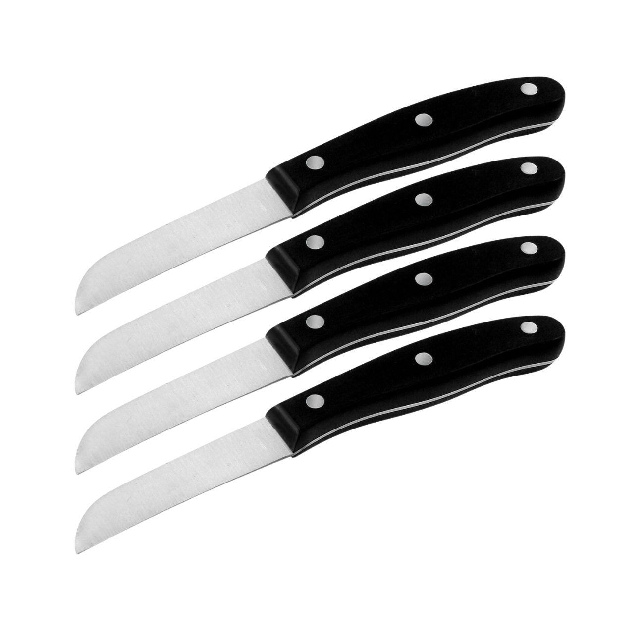 Ensemble de 4 Couteaux à légumes 20 cm  Fit Nirosta - Mathon - 1