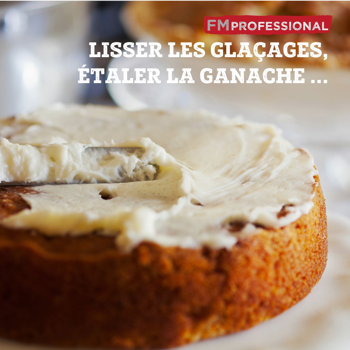 Mini spatule coudée 22,5 cm FM Professional - Mathon - 4