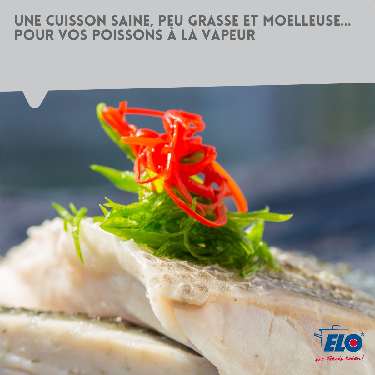 Cuiseur vapeur en inox 18 cm de 2 litres  Citrin Elo - Mathon - 5