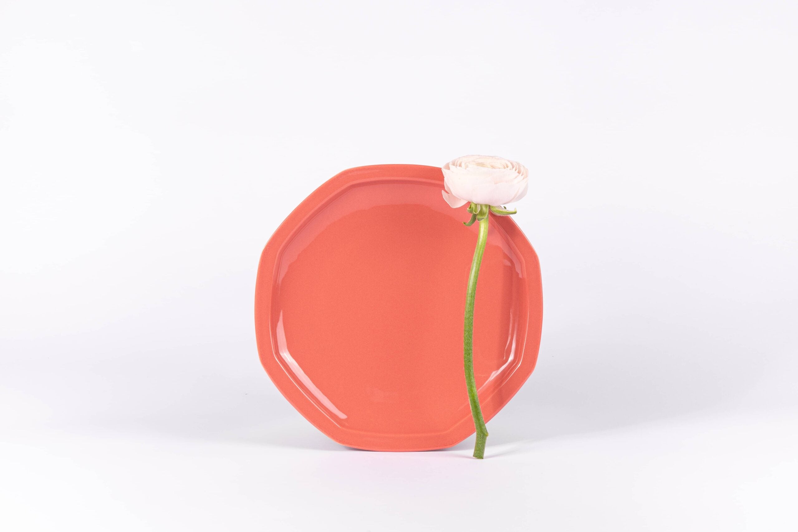 Assiette plate octogonale terra OGRE La Fabrique - Mathon - 1