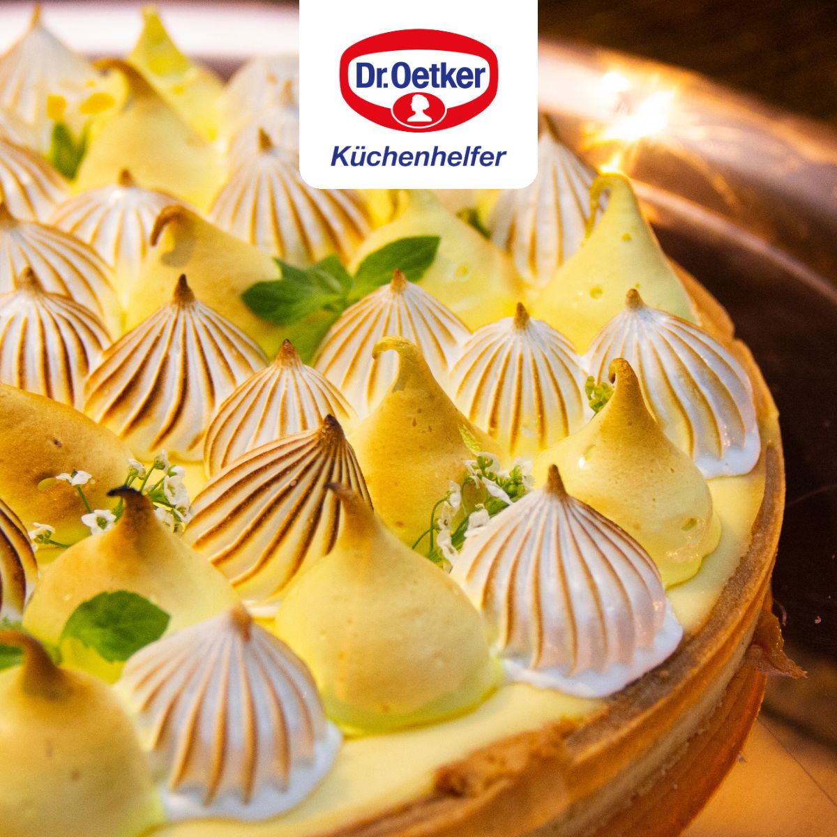 Plat à four pour tartes et pizzas 32 cm  Tradition Dr. Oetker - Mathon - 6