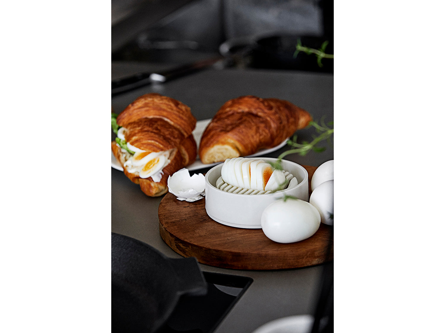 Coupe-œuf SINGLES en polypropylène Noir Zone Denmark - Mathon - 7