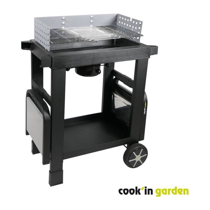 Barbecue Au Charbon De Bois - Cook