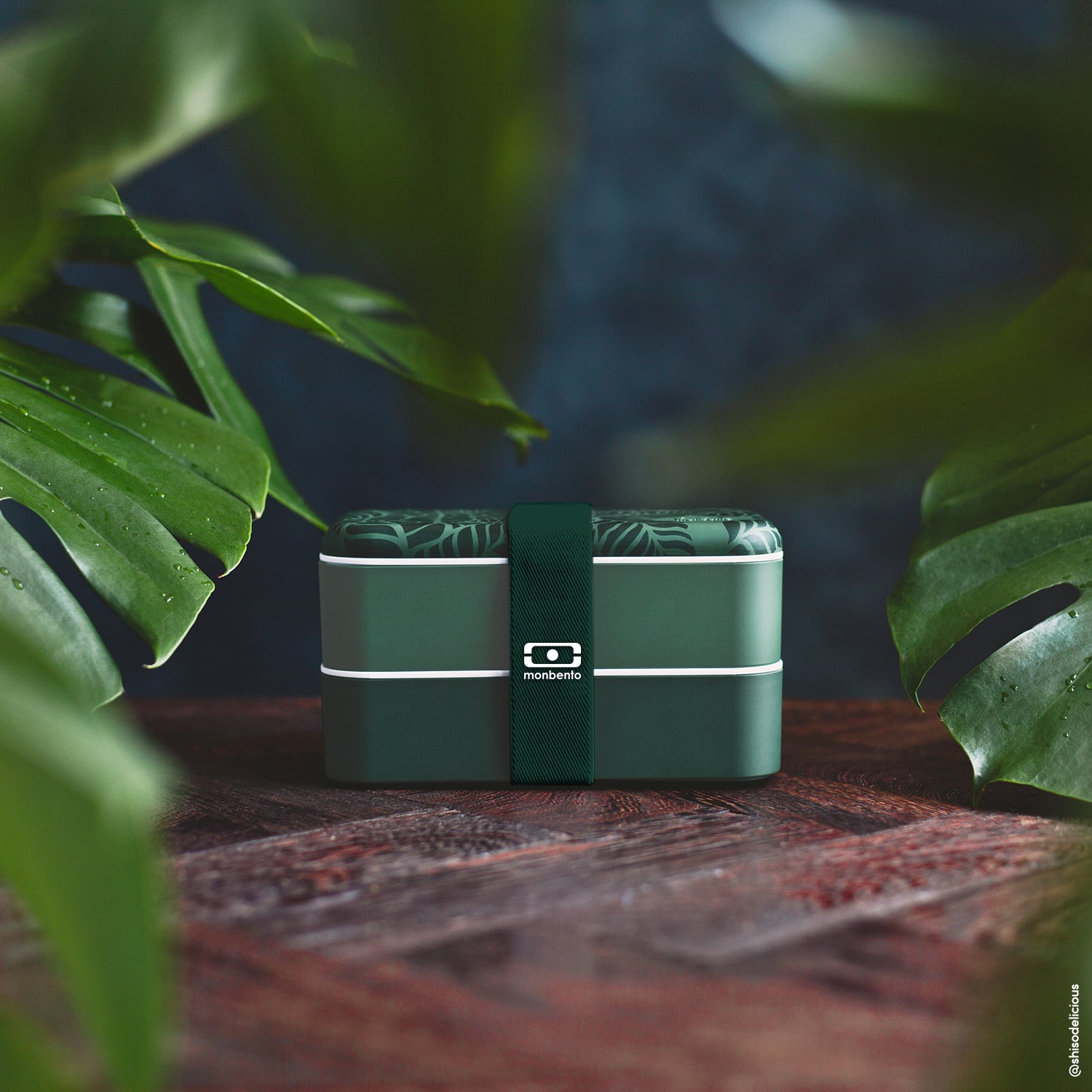 Lunch box 2 compartiments Original 1L Made in France Jungle Monbento - Mathon - 4