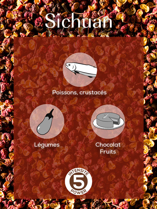 Sichuan Poivre rouge de Chine, 40g - 4 sachets fraicheur de 10g Peugeot - Mathon - 2