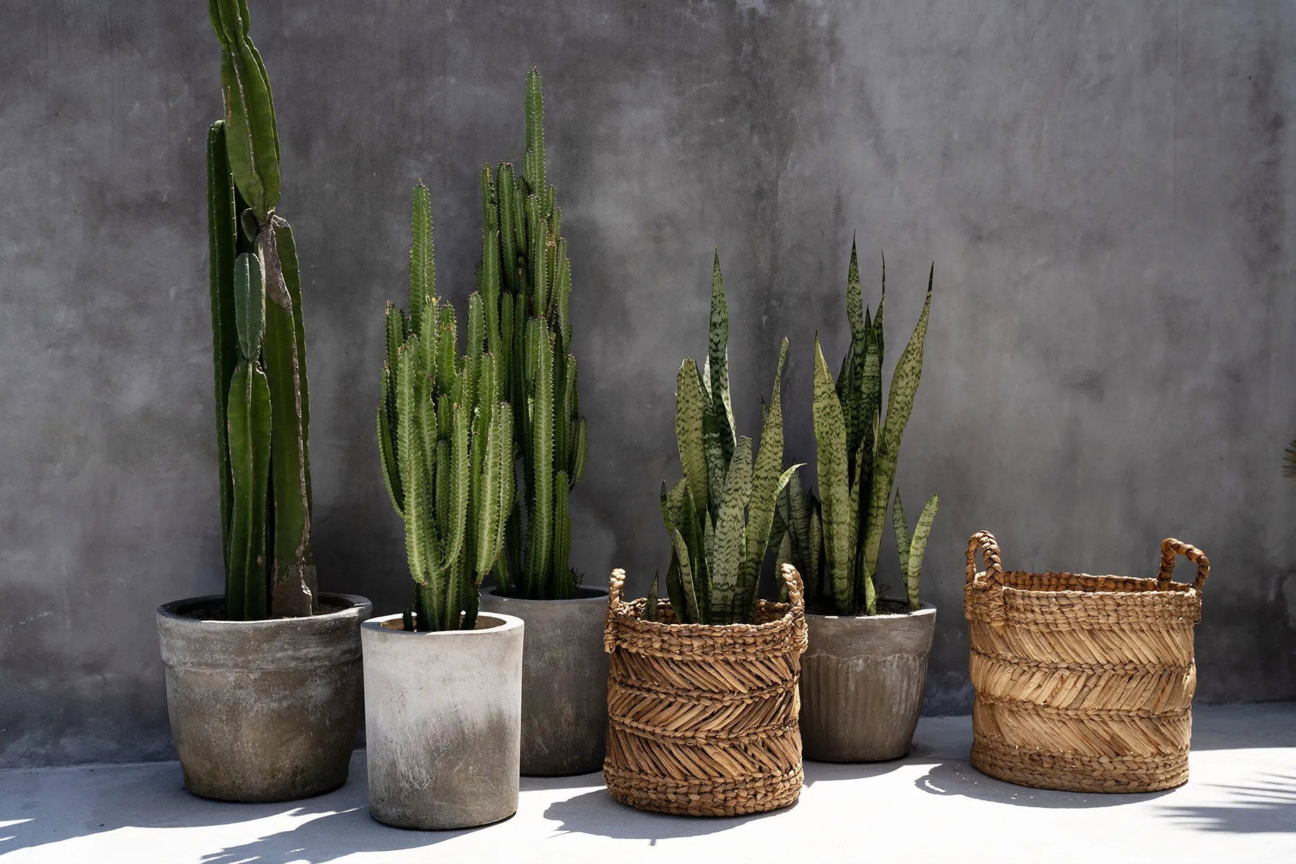 Le Panier En Zigzag De Banane - L Bazar Bizar - Mathon - 5