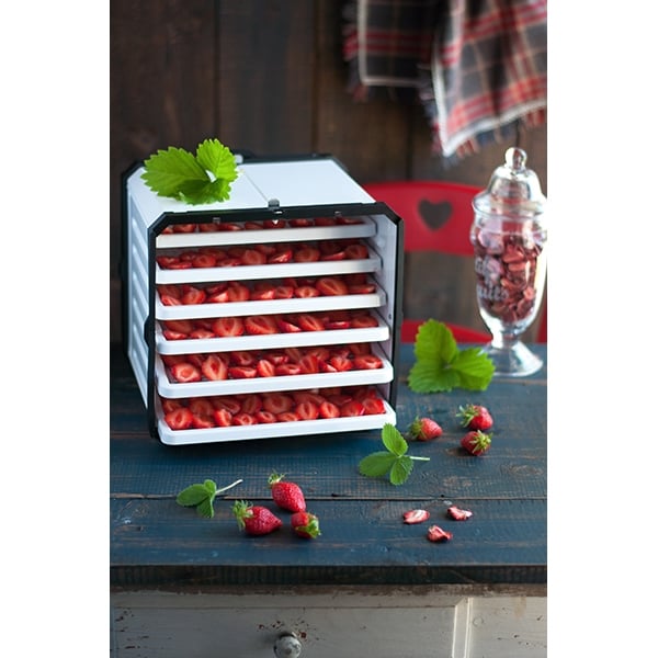 Déshydrateur cube 6 plateaux 2600 cm² 500 W Atacama - Mathon - 2