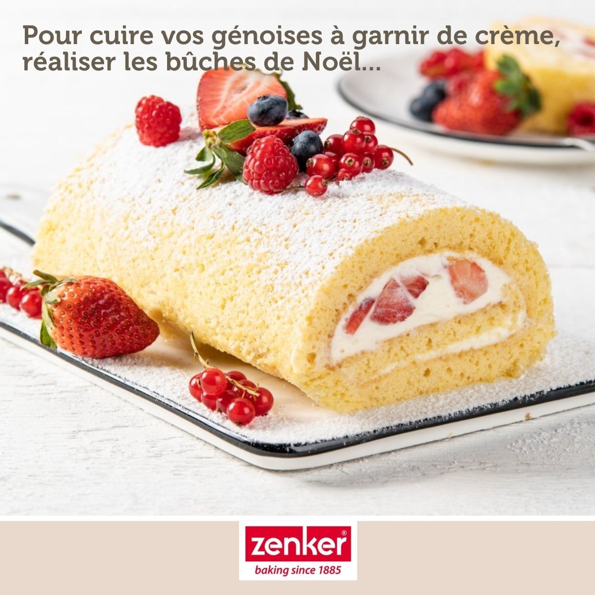 Moule à génoise et biscuit roulé en silicone 36 x 27 cm Zenker Sweet Sensation Zenker - Mathon - 2