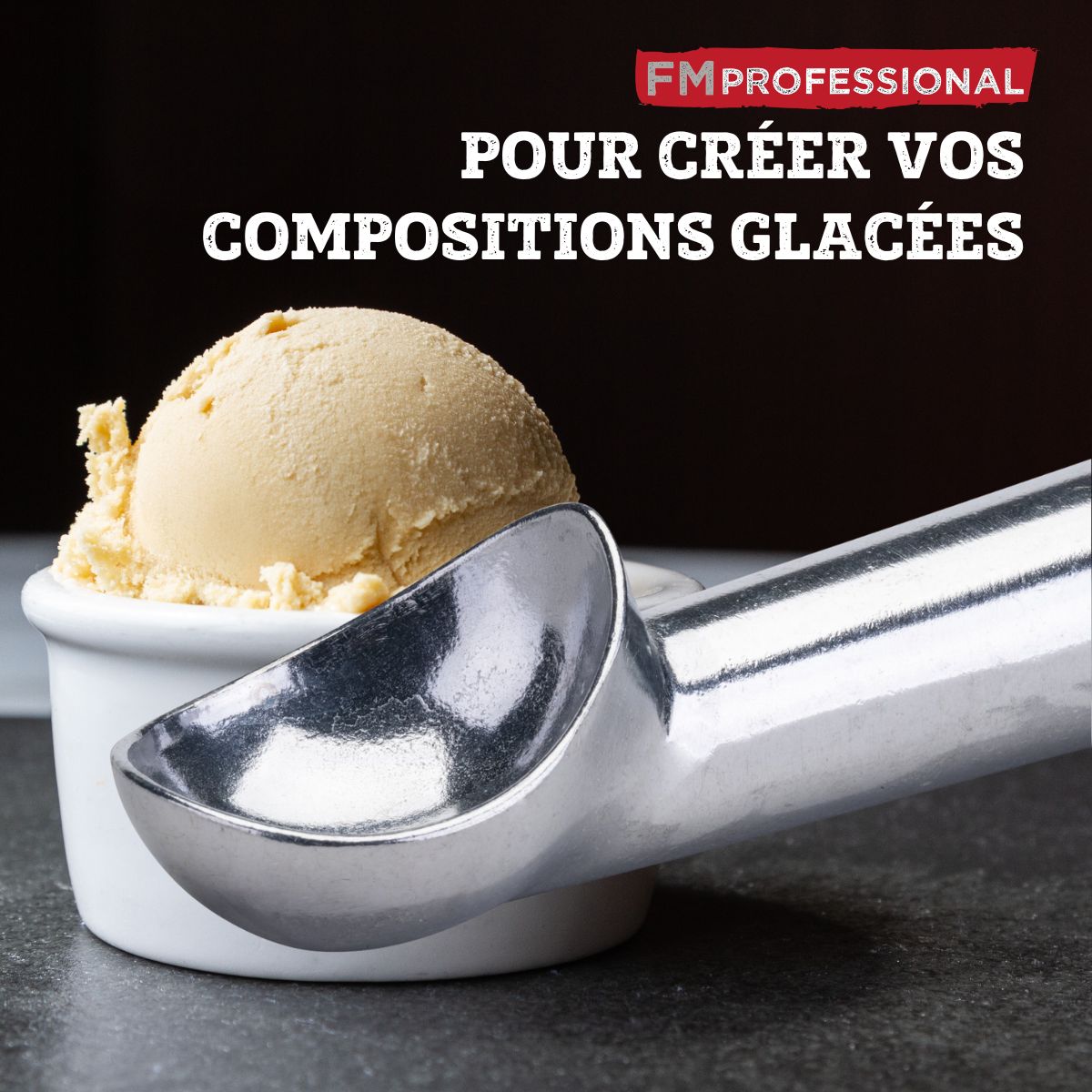 Ensemble de 2 Cuillères à glace FM Professional - Mathon - 4