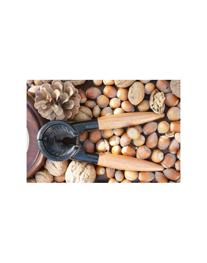 Casse noix malin Venteo - Mathon - 3