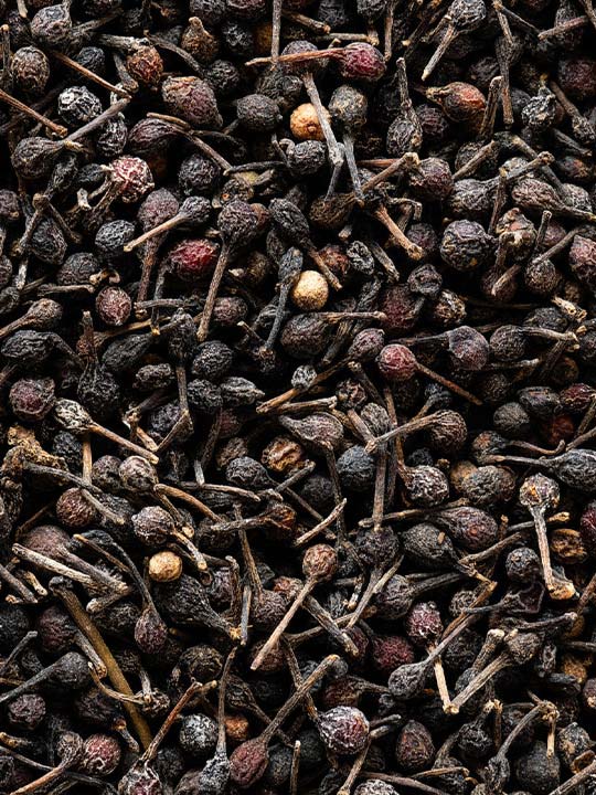 Poivre sauvage Voatsiperifery 3 x 20g Peugeot - Mathon - 6