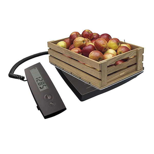 Balance maxi 100 kg PC100 Terraillon - Mathon - 2