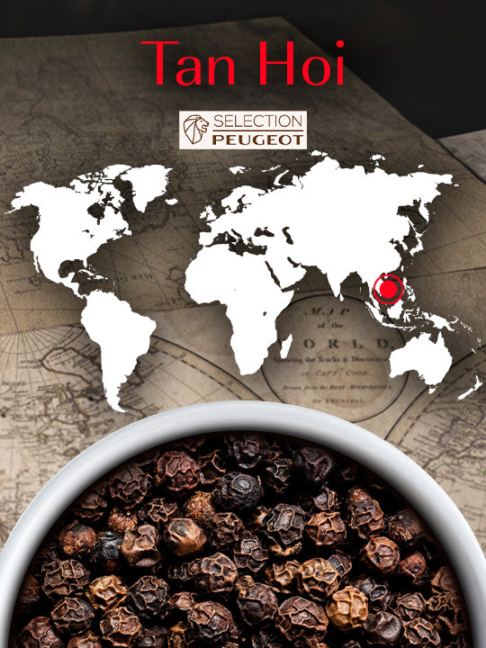 Poivre noir Tan Hoi 4 x 20g Peugeot - Mathon - 3