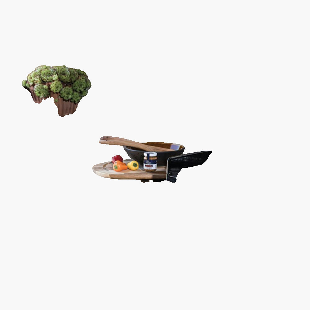 Plancha Premium Gaz 75 Chassis Inox   - Premiumg75i Forge Adour - Mathon - 2