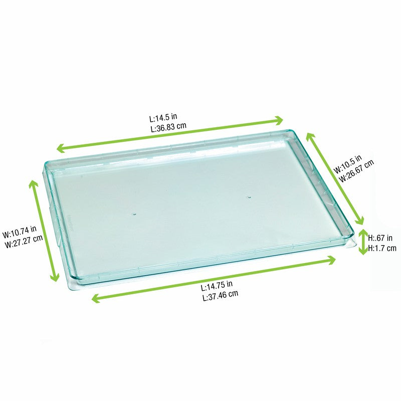 25Pcs - Plateau plastique réemployable PS vert transparent "Klarity"  380x274x18mm FirstPack - Mathon - 2