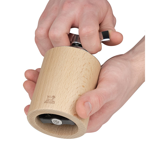 Moulin à graines de Lin ISEN Peugeot - Mathon - 2