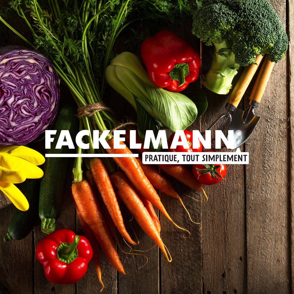 Boîte de 250 rince doigts au citron Fackelmann - Mathon - 6