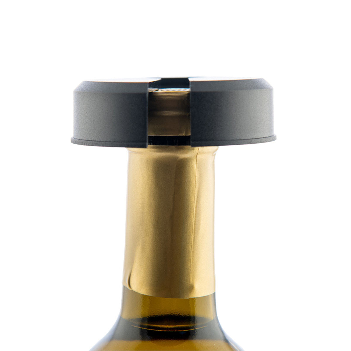 Taste - Coupe Capsule Koala - Mathon - 6