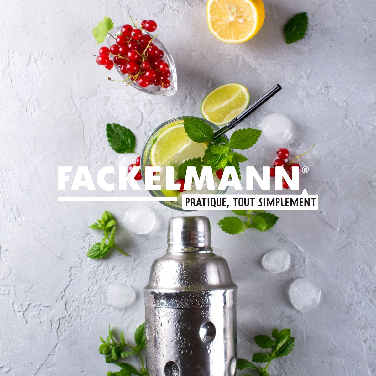 Lot de 2 Bac à glaçons 14 glaçons  Bar Concept Fackelmann - Mathon - 8