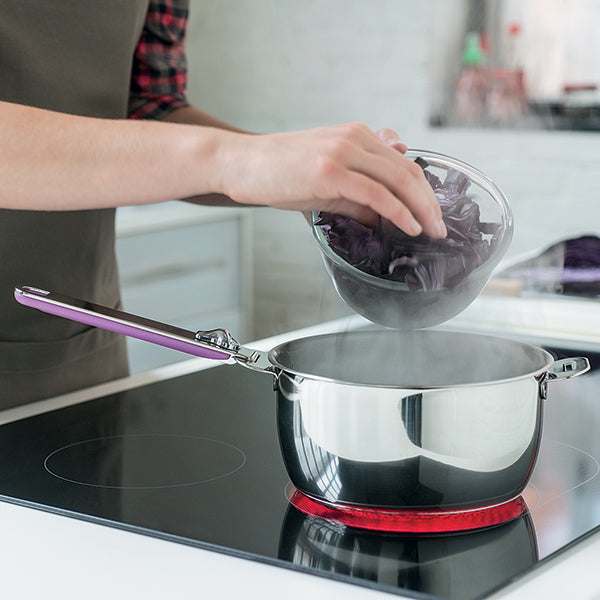 Lot 4 casseroles en inox 14, 16, 18 et 20 cm avec 2 anses amovibles grises Select et manche amovible noir Evolution Clickfix  Beka - Mathon - 2