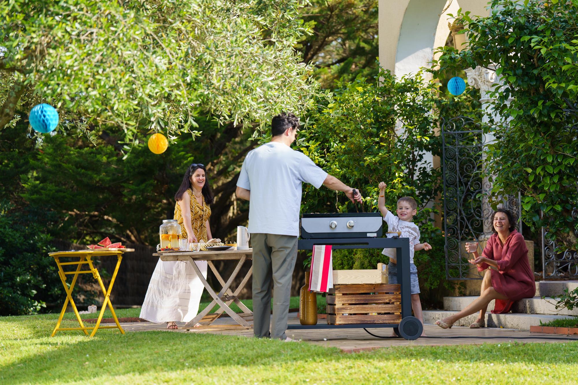 PLANCHA ORIGINAL ELECTRIQUE 260 DUO Le Marquier - Mathon - 2