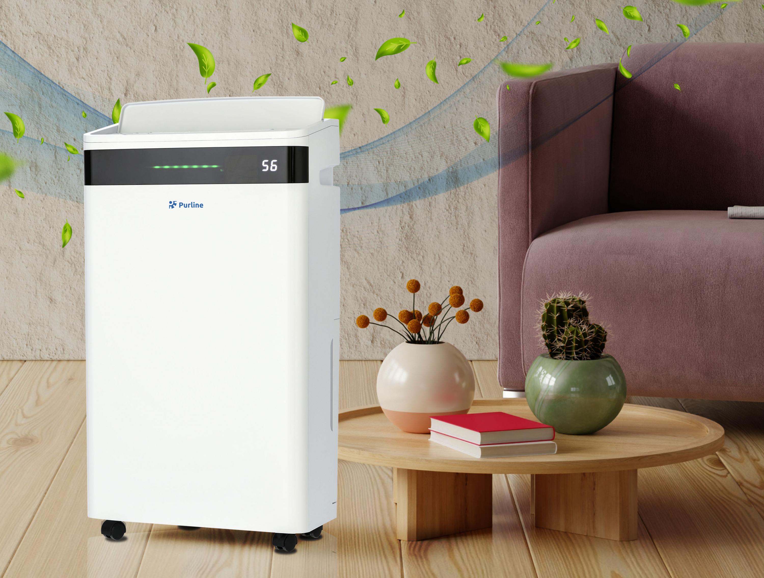 Déshumidificateur avec compresseur 20 l/d Purline - Mathon - 3