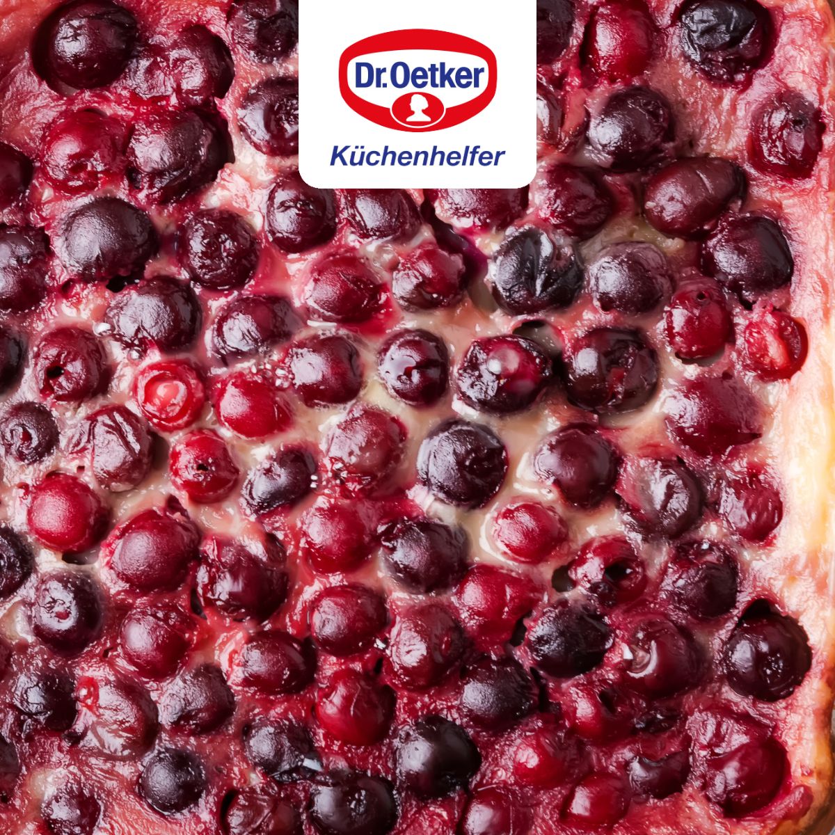 Plat à four XXL à bords hauts Dr Oetker Back-Idee Kreativ Dr. Oetker - Mathon - 7