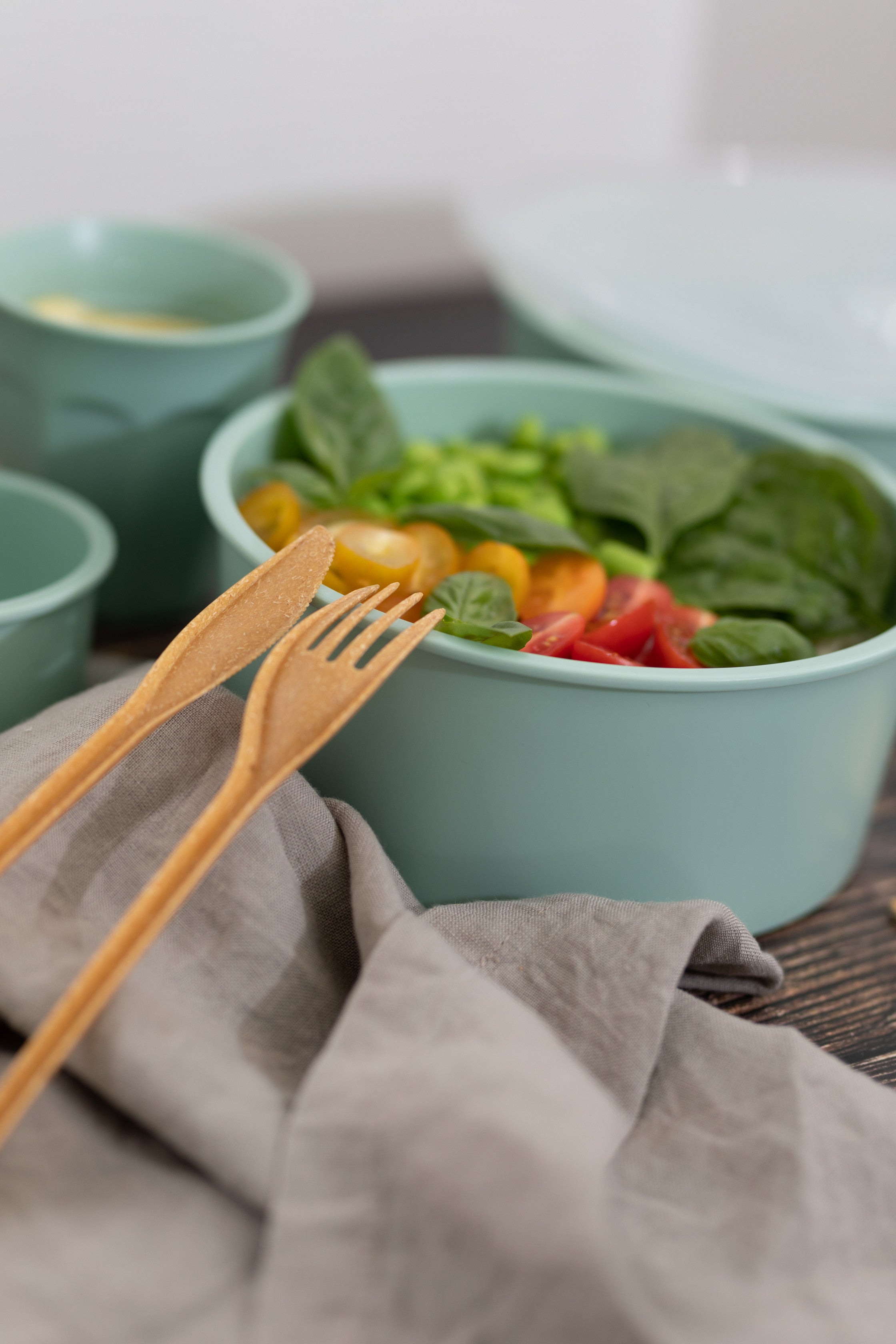 4Pcs - Bol Phoenix en plastique RPET réemployable vert d