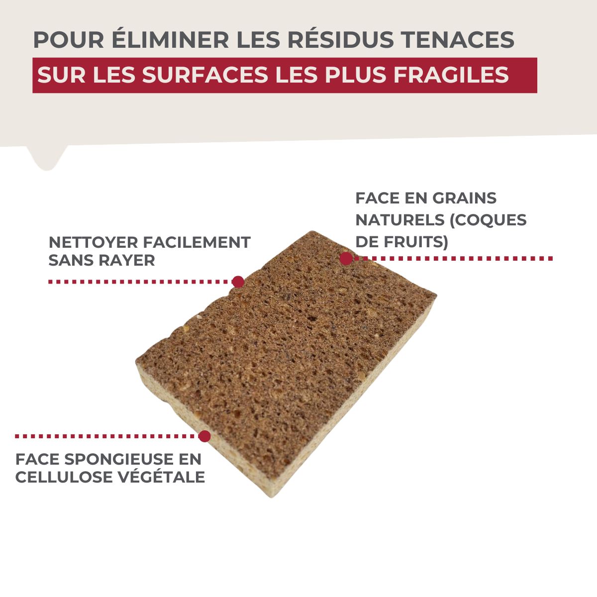 Éponge Végétale Multi-Surfaces fragiles  Tecno Fackelmann - Mathon - 4