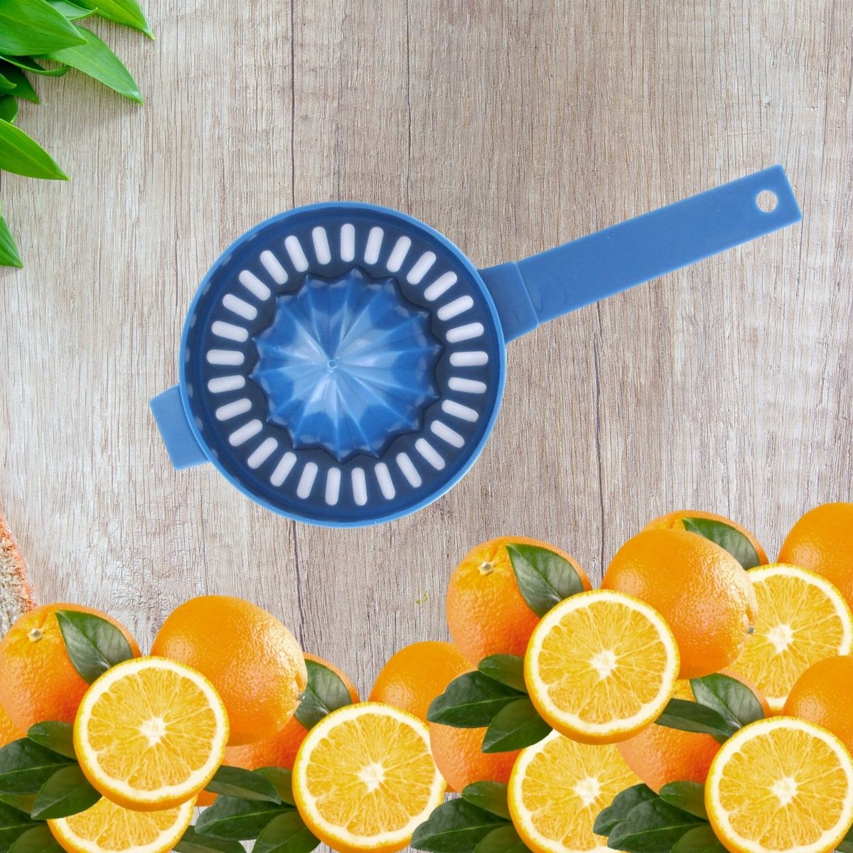 Presse-agrumes manuel  Elemental Fackelmann - Mathon - 2