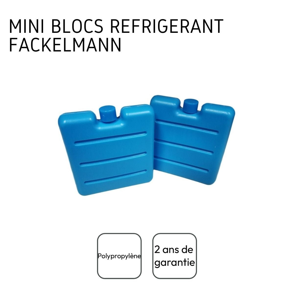 Lot de 2 pains de glace pour glacière et lunch bag Fackelmann - Mathon - 4