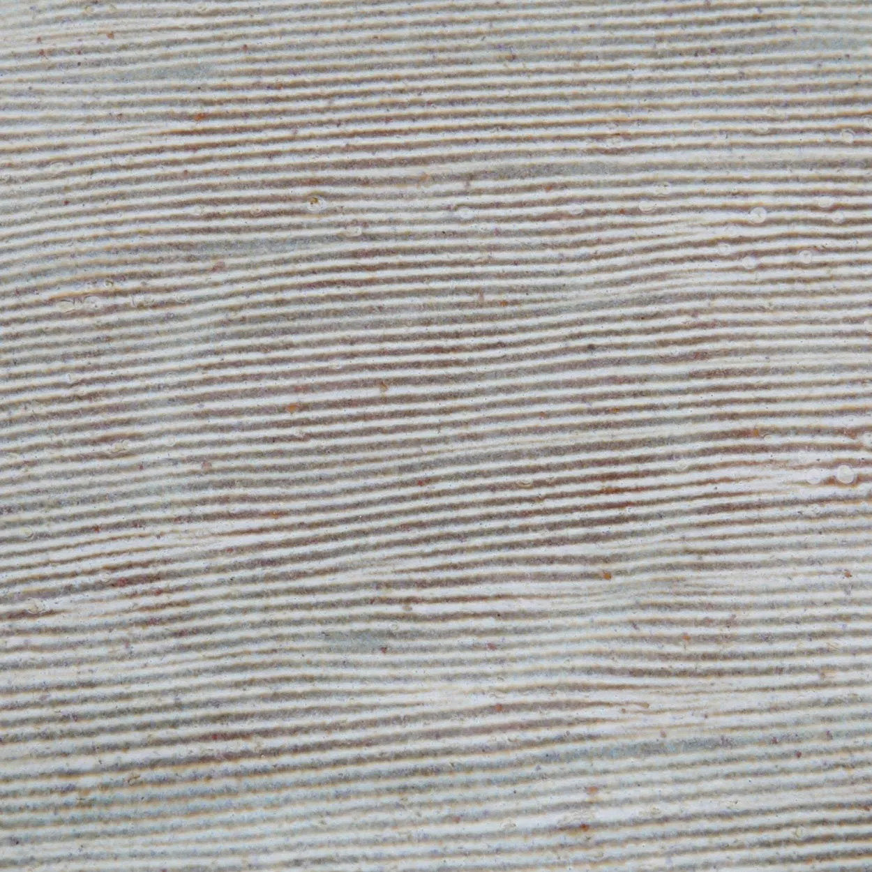 L’Assiette À Salade Peniche - Set De 6 Bazar Bizar - Mathon - 4