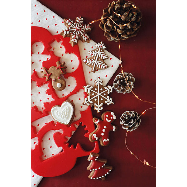 Coffret biscuits de Noël Scrapcooking - Mathon - 4