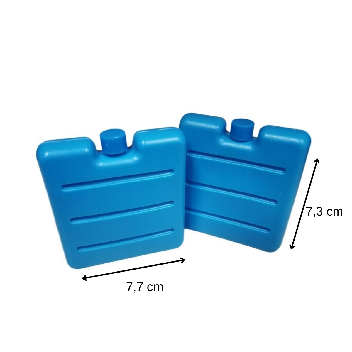 Lot de 2 pains de glace pour glacière et lunch bag Fackelmann - Mathon - 3