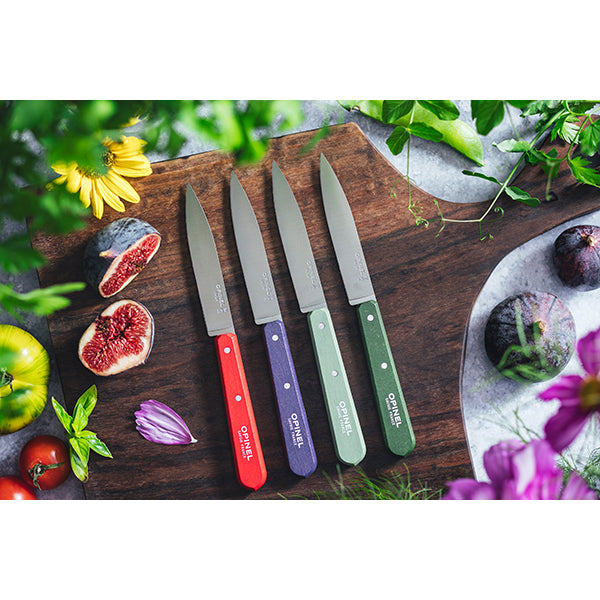 Coffret 4 couteaux d’office Essentiels Paysage Opinel - Mathon - 2