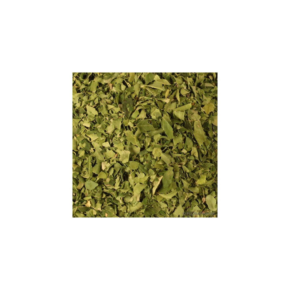 Tisane de feuilles de moringa bio* 100g FruitsTropicaux - Mathon