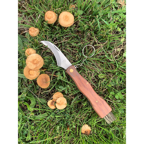 Couteau à Champignons 7 cm avec brosse Evasion Pradel Excellence - Mathon - 2