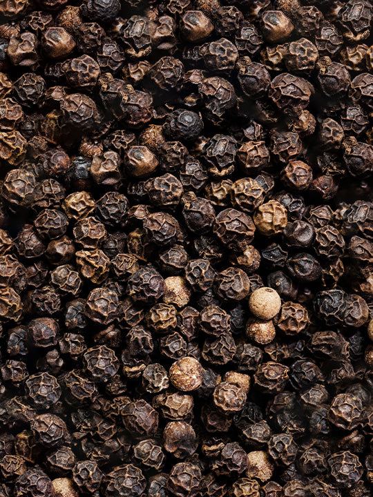 Tan Hoi Poivre noir du Vietnam, 140g - 7 sachets fraicheur de 20g Peugeot - Mathon - 5