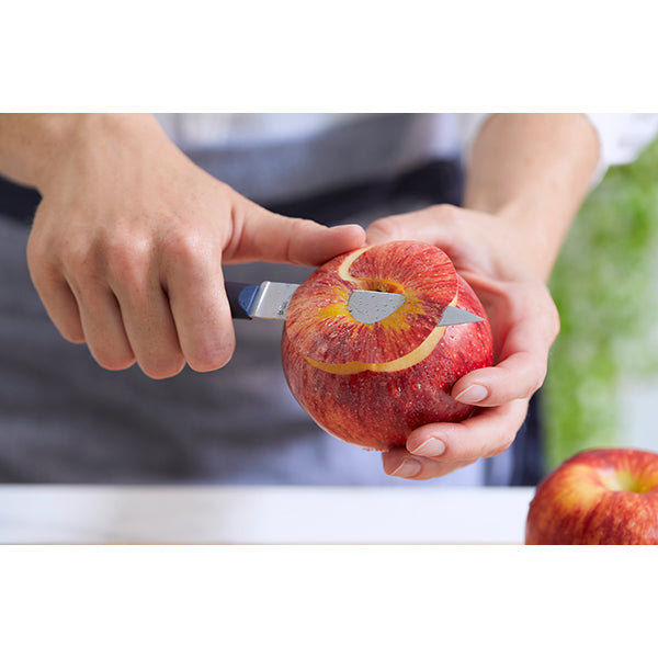 Lot de 2 couteaux d’office Essentiels+ bleu et rouge 10 cm inox Opinel - Mathon - 2