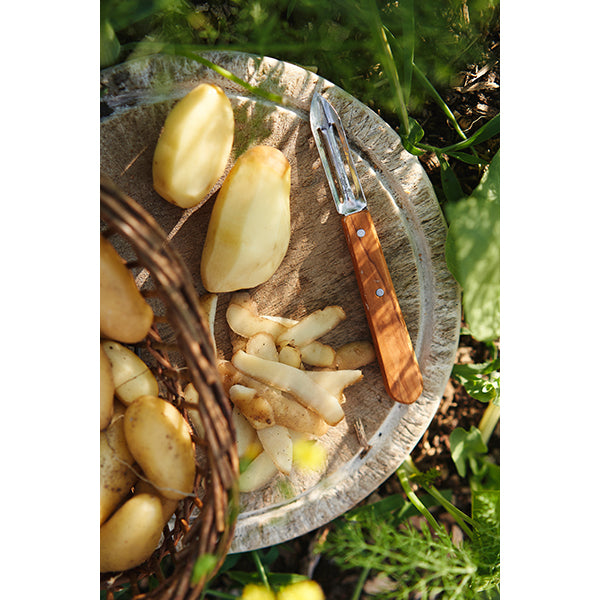 Coffret Les Essentiels Olivier Opinel - Mathon - 3