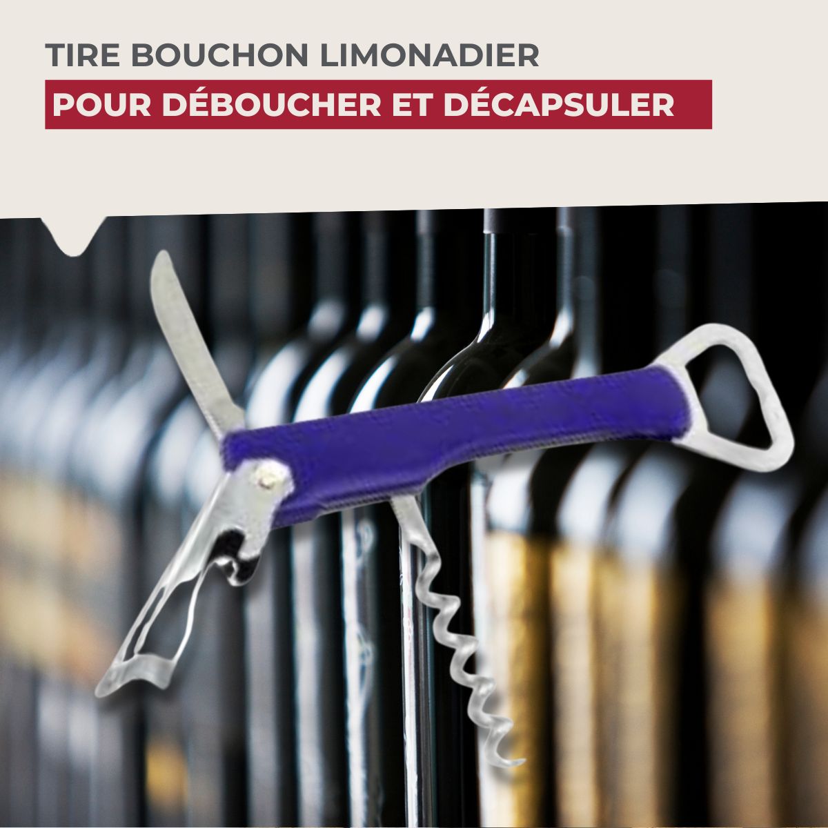 Tire-bouchon limonadier coloré  Bar Concept Fackelmann - Mathon - 2