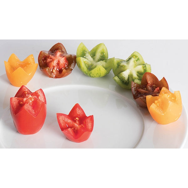 Coupe étoiles Gobel - Mathon - 3